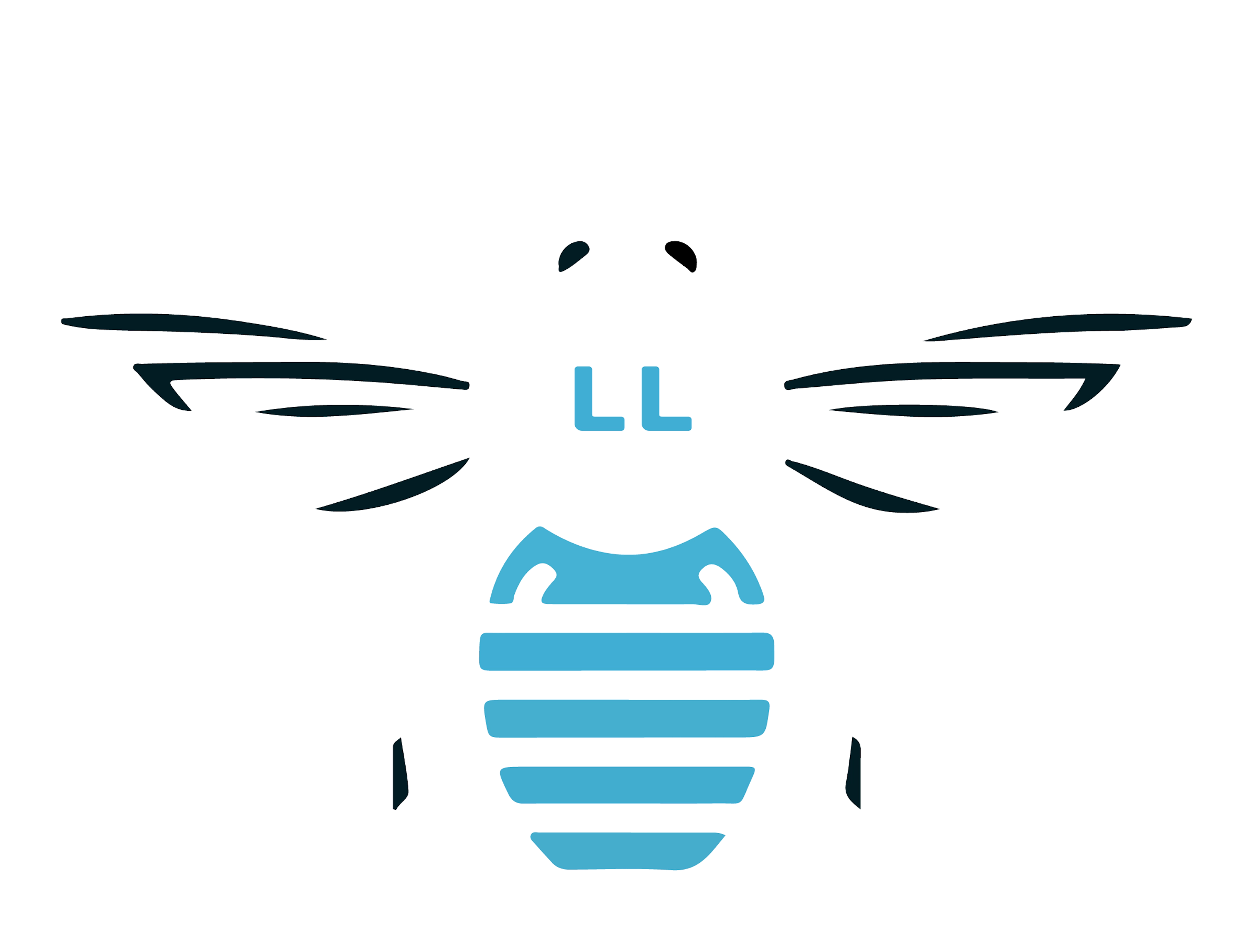 Lisko Labs Logo